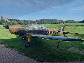 Chipmunk exterior