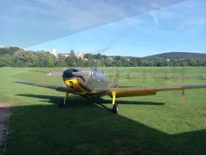 Chipmunk exterior