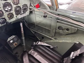 Chipmunk interior