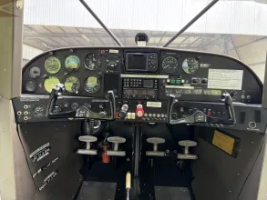 panel