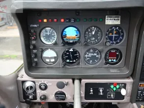 panel